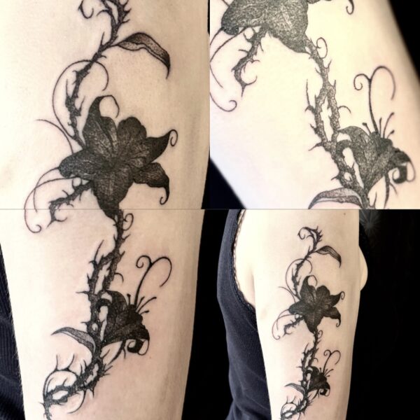 2886D604-555B-4B5C-88BE-48FFA6C2BE91