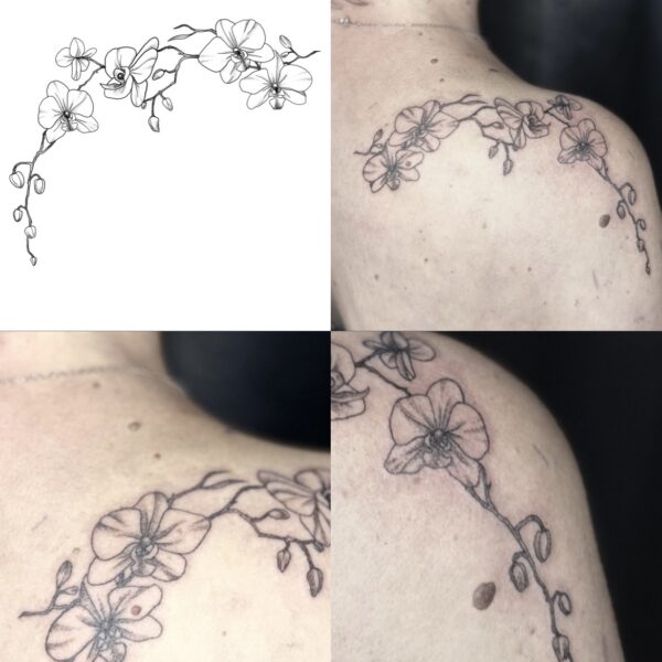 3D1FABE3-C333-4DE8-8FBE-74894CC10B2D